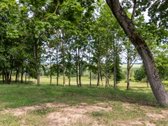 Parduodamas namų valdos sklypas Didžiosiose - nuotraukos Nr. 2