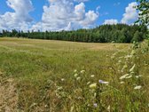 Parduodamas 34,94 arų namų valdos sklypas - nuotraukos Nr. 3