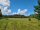 Parduodamas 34,94 arų namų valdos sklypas