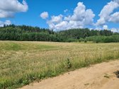 Parduodamas 34,94 arų namų valdos sklypas - nuotraukos Nr. 4