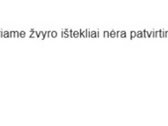 1. Nekilnojamojo turto registre įregistruotas - nuotraukos Nr. 6