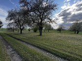 Parduodama graži sodyba Anykščių rajone, - nuotraukos Nr. 6