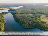 Parduodamas išskirtinis 1,5 ha sklypas - nuotraukos Nr. 10