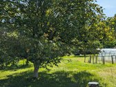 Ieškote ramios vietos poilsiui ar sodo - nuotraukos Nr. 2