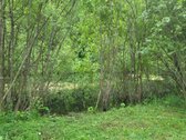 Parduodami du po 7.5aro vienas šalia kito - nuotraukos Nr. 5