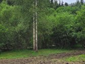 Parduodami du po 7.5aro vienas šalia kito - nuotraukos Nr. 11