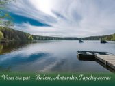 Išskirtinis namas prestižinėje vietoje – tarp - nuotraukos Nr. 15