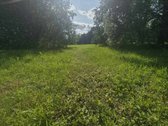 Vilniaus m. sav., Vilniaus m., Antakalnis - nuotraukos Nr. 4