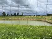 Namas apšildytas, naujas stogas, platikiniai - nuotraukos Nr. 25