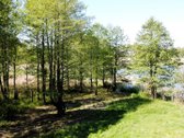 Išskirtinis Sklypas Prie Baltajo Ežero – Jūsų - nuotraukos Nr. 17
