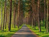 Išskirtinis namas prestižinėje vietoje – tarp - nuotraukos Nr. 11