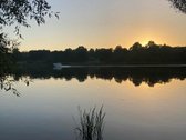 Nemuno Kilpų Regioniniame Parke Ant Upės - nuotraukos Nr. 5