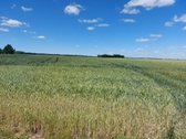 Parduodamas 10.39ha žemės sklypas (žemės ūkio