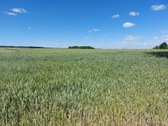 Parduodamas 10.39ha žemės sklypas (žemės ūkio - nuotraukos Nr. 2