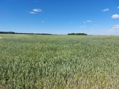 Parduodamas 10.39ha žemės sklypas (žemės ūkio - nuotraukos Nr. 3