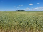 Parduodamas 10.39ha žemės sklypas (žemės ūkio - nuotraukos Nr. 4