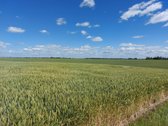 Parduodamas 10.39ha žemės sklypas (žemės ūkio - nuotraukos Nr. 5