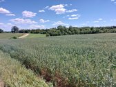 Parduodamas 10.39ha žemės sklypas (žemės ūkio - nuotraukos Nr. 7