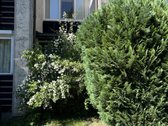 Parduodamas butas esantis šalia miško, - nuotraukos Nr. 4