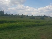 Parduodamas !0,4 ha sklypas, pievų ir - nuotraukos Nr. 8