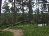 Sodybviete 1,60 ha su 200m smeletos ežero - nuotraukos Nr. 30