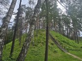 Sodybviete 1,60 ha su 200m smeletos ežero - nuotraukos Nr. 3
