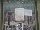 Sodybviete 1,60 ha su 200m smeletos ežero - nuotraukos Nr. 33