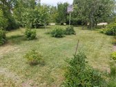 Jaukus sodo namas gamtos apsuptyje – vieta - nuotraukos Nr. 3