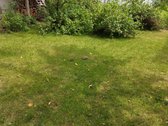 Jaukus sodo namas gamtos apsuptyje – vieta - nuotraukos Nr. 16