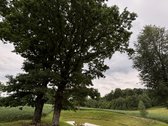 Parduodama tvarkinga, 3 kambarių 52,88 kv. m. - nuotraukos Nr. 18
