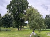 Parduodama tvarkinga, 3 kambarių 52,88 kv. m. - nuotraukos Nr. 21