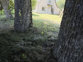 Parduodama sodyba su gyvenamuoju namu, - nuotraukos Nr. 39