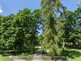 Parduodamos Patalpos Šalia Sapiegų Parko – - nuotraukos Nr. 5