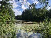 1898m. sodyba prie Antalieptės Marių su 0,9ha - nuotraukos Nr. 3