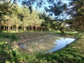 Parduodama Labai Tvarkinga Sodyba, Su Nuosavu - nuotraukos Nr. 3
