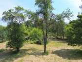 Parduodamas Unikalus, Erdvus Namų Valdos - nuotraukos Nr. 19