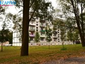 Skubiai parduodamas puikiai suremontuotas 2 - nuotraukos Nr. 16