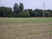 Parduodamas 1,00 hektaro žemės ūkio - nuotraukos Nr. 4