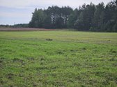 Parduodamas 1,00 hektaro žemės ūkio - nuotraukos Nr. 7