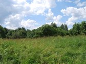 Parduodamas 6 ha žemės ūkio paskirties - nuotraukos Nr. 9