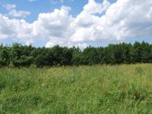 Parduodamas 6 ha žemės ūkio paskirties - nuotraukos Nr. 12
