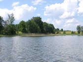 Parduodamas 6 ha žemės ūkio paskirties - nuotraukos Nr. 3