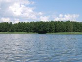 Parduodamas 6 ha žemės ūkio paskirties - nuotraukos Nr. 5