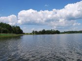 Parduodamas 6 ha žemės ūkio paskirties - nuotraukos Nr. 7