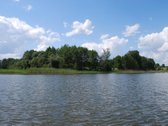 Parduodamas 6 ha žemės ūkio paskirties - nuotraukos Nr. 10