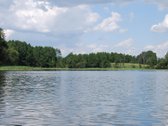 Parduodamas 6 ha žemės ūkio paskirties - nuotraukos Nr. 11