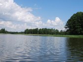 Parduodamas 6 ha žemės ūkio paskirties - nuotraukos Nr. 13