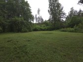 Šalia dviračių tako Birštonas-prienai,
