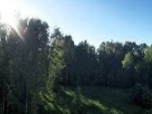 Šiaulių miesto ribose, šalia miško, - nuotraukos Nr. 5