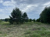 Parduodamas 58 a. žemės ūkio paskirties - nuotraukos Nr. 5